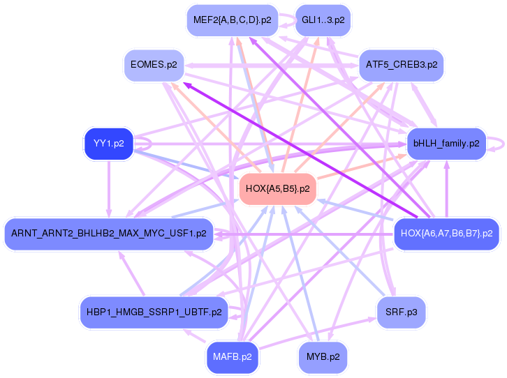 PNG image of the network